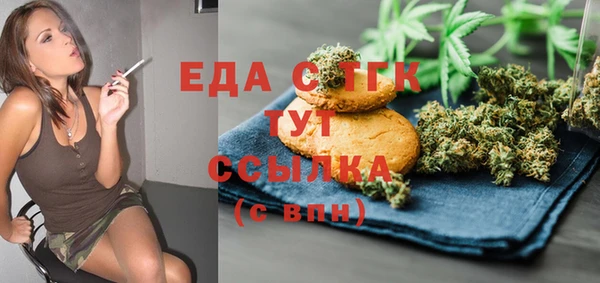 соль ск Новозыбков