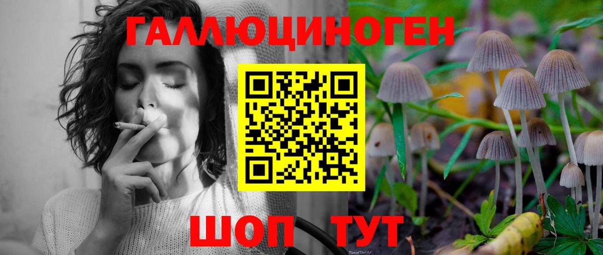 Псилоцибиновые грибы Cubensis Камышин