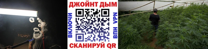 Бошки Шишки Amnesia где купить наркотик Камышин